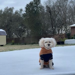 Meet your Posher, Daniel